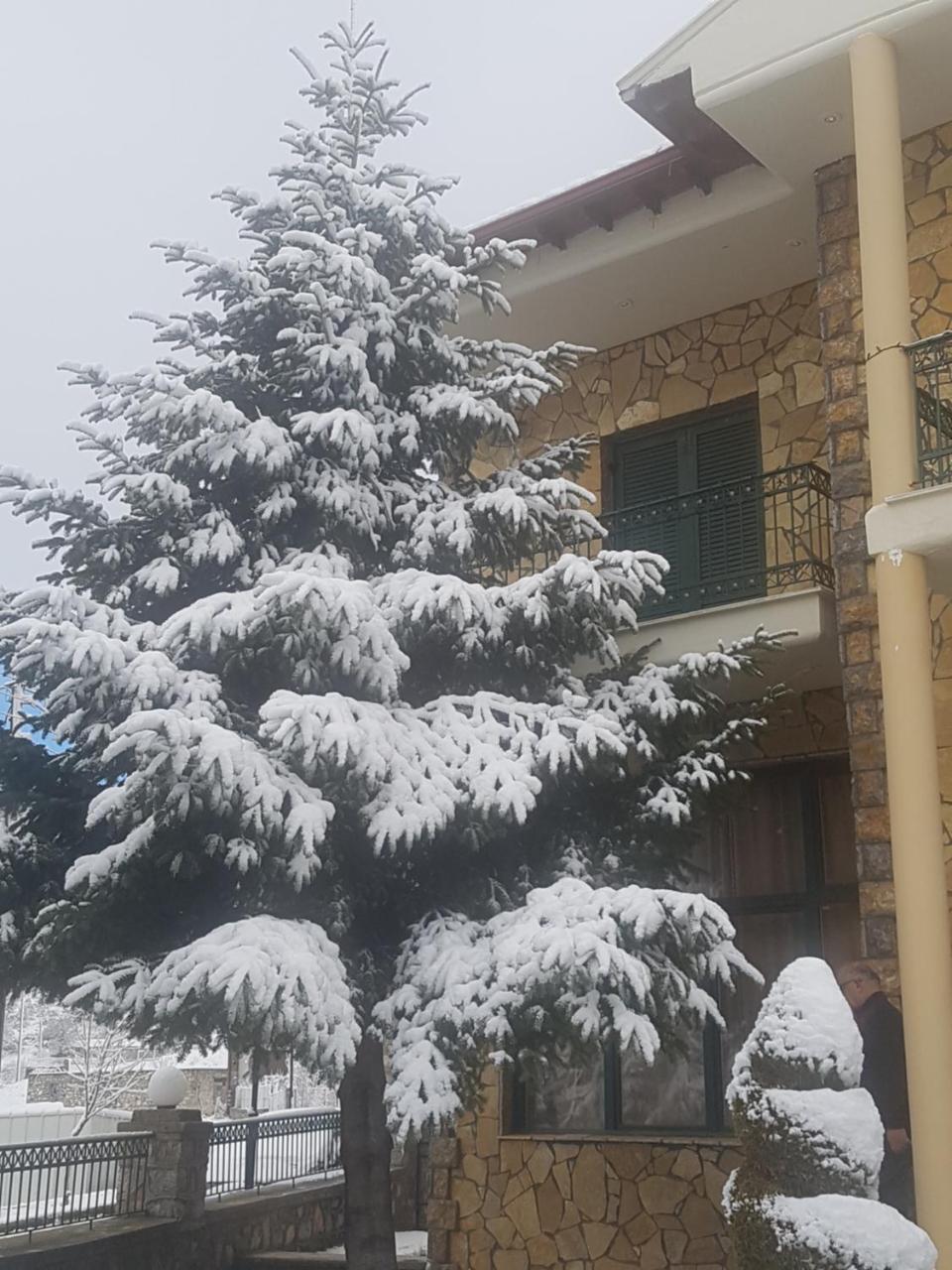 فندق كريستال Krystallopigí المظهر الخارجي الصورة
